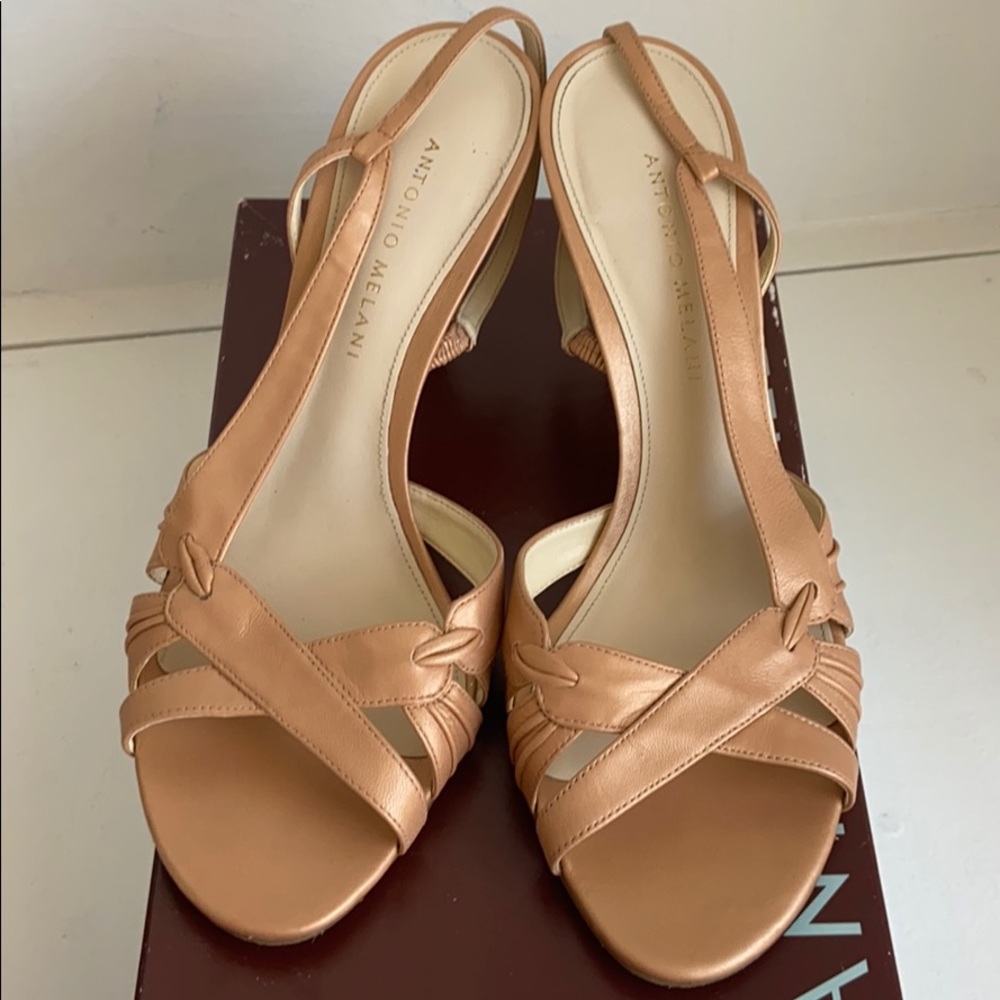 Rose Beige Heels